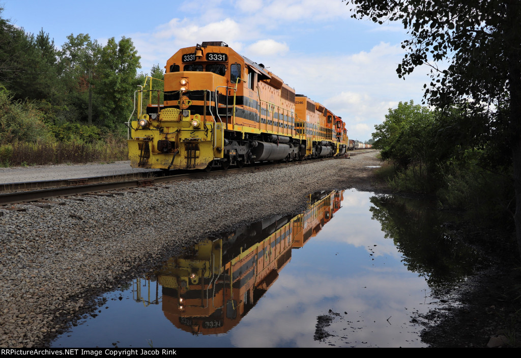 Puddle Reflections